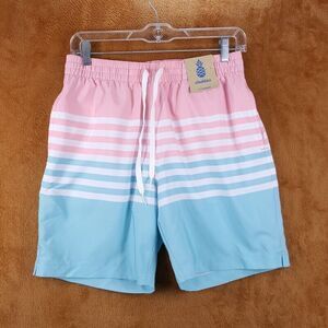 CHUBBIES Mens Swimwear Small Blue Stripe Pockets Classic Swim Trunks Horizons